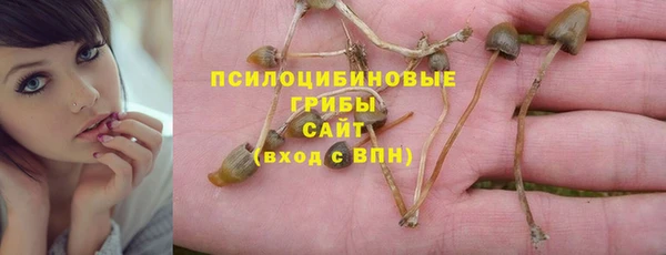 бошки Нязепетровск