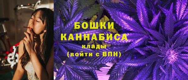 ALPHA-PVP Няндома
