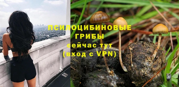 бошки Нязепетровск