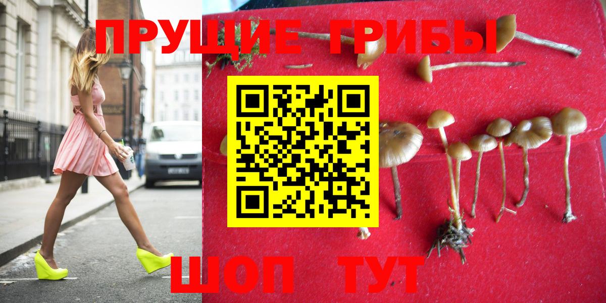 Галлюциногенные грибы мицелий Ревда