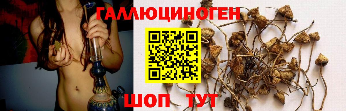 Псилоцибиновые грибы прущие грибы  Псилоцибиновые грибы Psilocybe  Ревда 